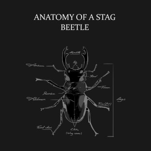 Stag Beetle Anatomy T-Shirt