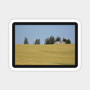 Decaying Farm House sinking in a sea of wheat . Magnet