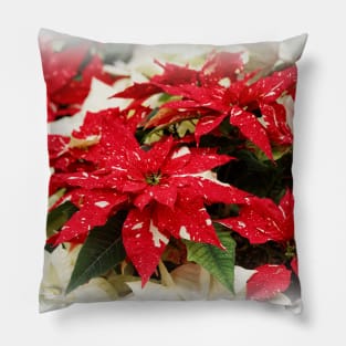 Festive Red & Cream Shimmer Surprise & Yellow Snow Poinsettias Pillow