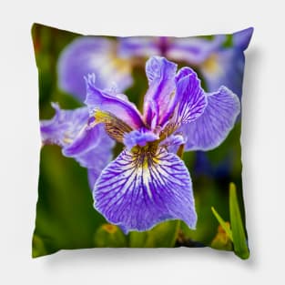 Purple Iris Flower Pillow