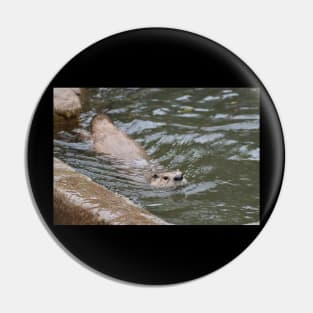 River Otter Pin