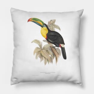 Vintage Toucan Bird Ornithology Natural History Illustration Pillow