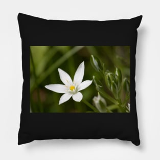 Star Of Bethlehem Pillow