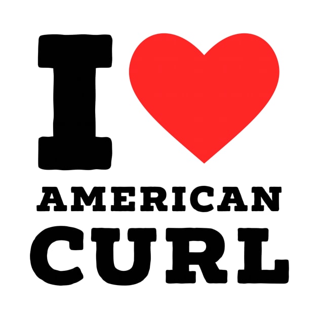 i love american curl by richercollections