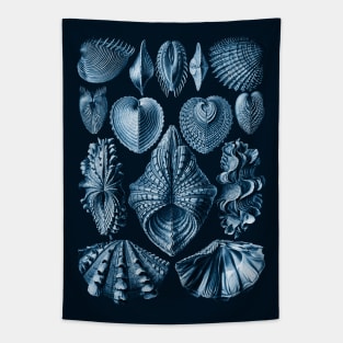 Ernst Haeckel Acephala Mollusc in Navy Tapestry