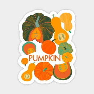 Pumpkin Magnet