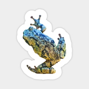 Tree Frog Blue Green Yellow Gray Watercolor Style Magnet