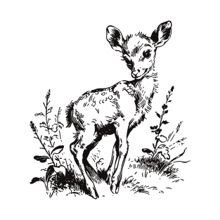 Vintage Deer Fawn Nature Boho T-Shirt