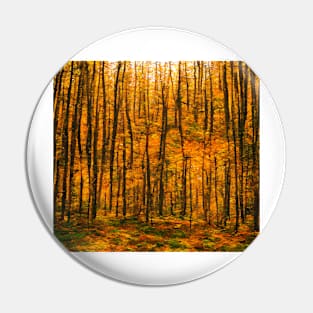 Autumn Forest Pin