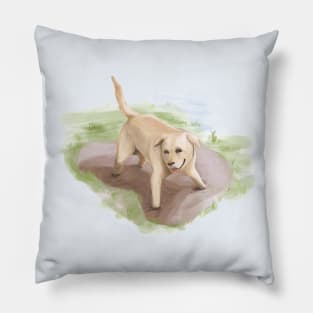 玩耍的狗  dog playing Pillow