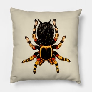 Tarantula Pillow