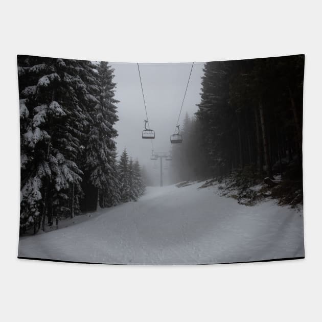 Dreaming of Skiing Tapestry by Elusive Edamame