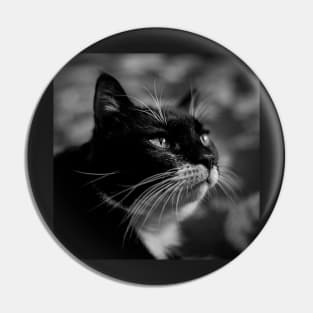 Monochrome Tomcat Pin