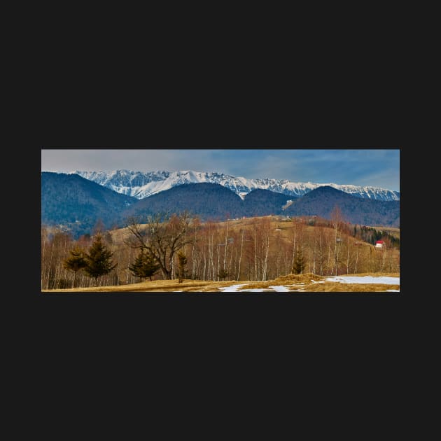 Mountain range and trees by naturalis