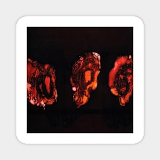 Deathspell Omega Knse Album Cover Magnet