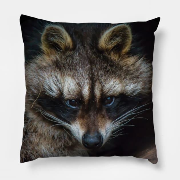 Raccoon Pillow by ElviraDraat