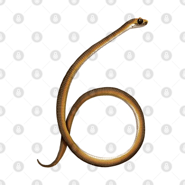 6 - Lowland copperhead snake by miim-ilustra