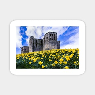 Spring at Warkworth Castle Magnet