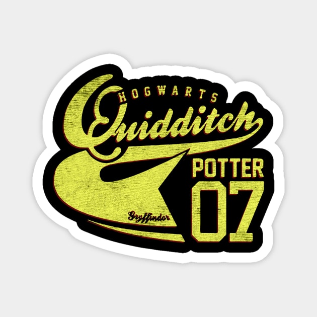 sport Quidditch Magnet by MustGoon