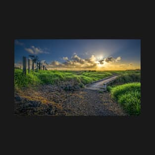 Watercare Coastal Walkway, Manukau T-Shirt