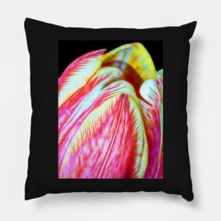 Tulip Close Up Pillow