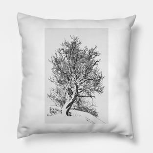 Black and White Tree Branches Pillow