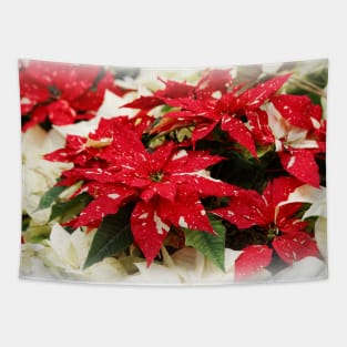 Festive Red & Cream Shimmer Surprise & Yellow Snow Poinsettias Tapestry