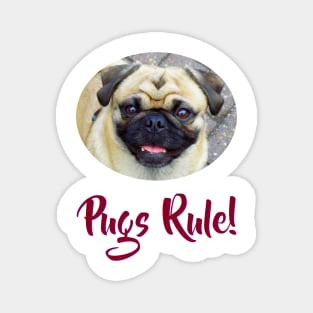 Pugs Rule! Magnet