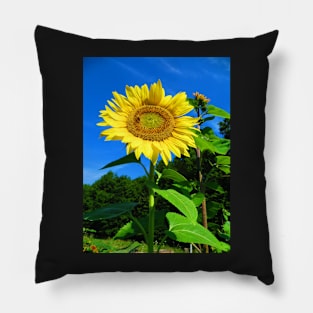 Sunflower and Honeybee Photographic Print Pillow