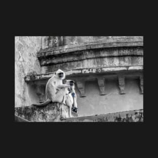 Perched like a monkey. Rajasthan. India T-Shirt