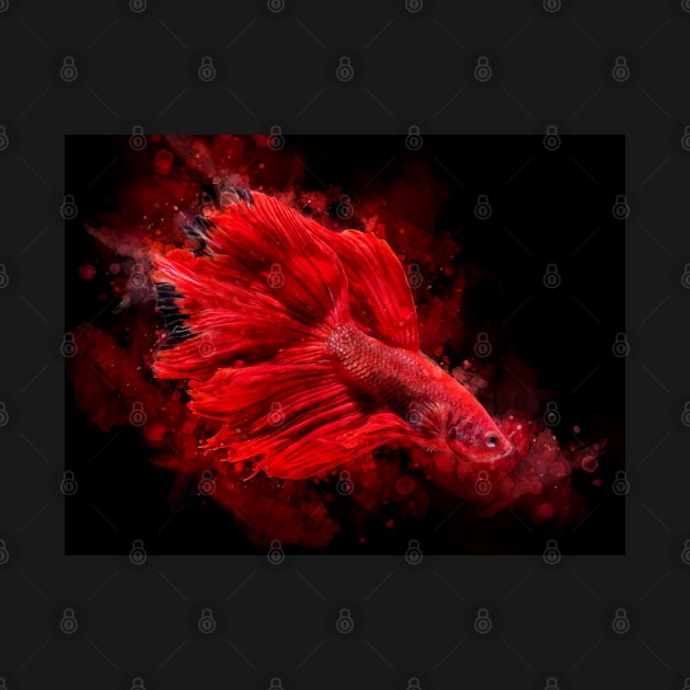 Red Betta Fish watercolor by SPJE Illustration Photography