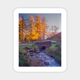 Old Stone Bridge, Cumbria Magnet