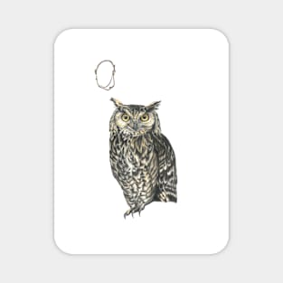 O for owl alphabet illustration Magnet