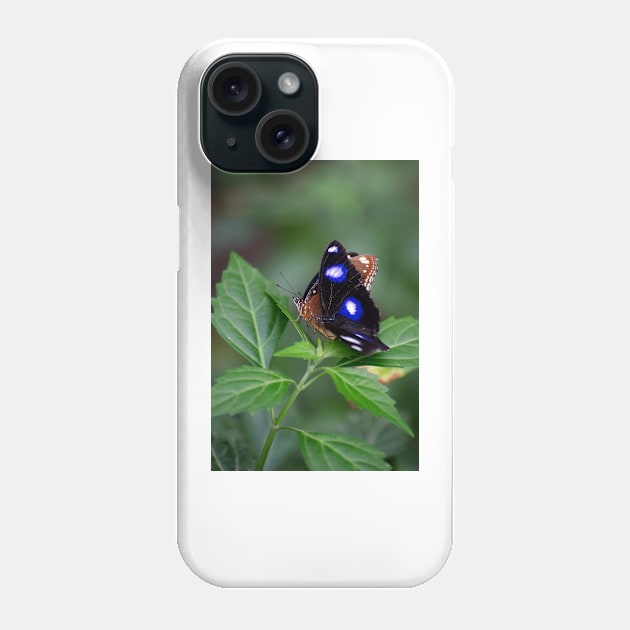 Common Eggfly and Friend Phone Case by GP1746