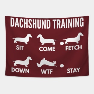 Dachshund Training Dachshund Dog Tricks Tapestry