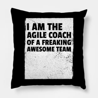 I am the agile coach of a freaking awesome team Pillow