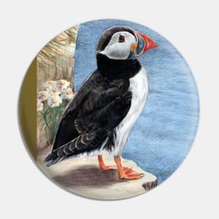 Puffin on cliff edge Pin