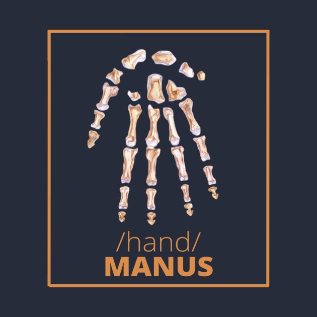 MANUS /hand/ ANATOMY SET by Medical clothing