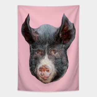 Pigs head Tapestry