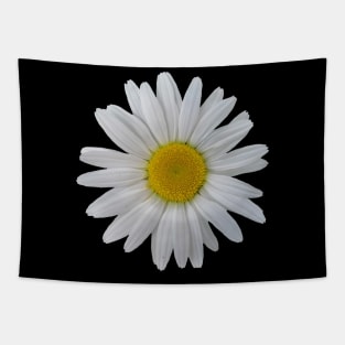 wonderful daisy flower, blooming daisy, blooms Tapestry