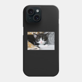 Kitten Phone Case