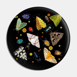 Beetles and butterflies Pin