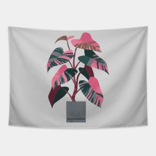 Philodendron pink princess Tapestry