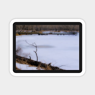 Frozen pond Magnet