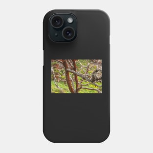 Lichen and Wildflowers Phone Case