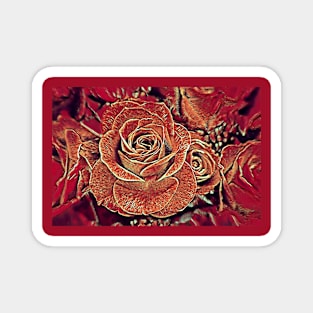 Roses No.1-9 Magnet