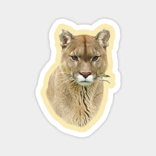 Mountain lion Magnet