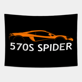 570S Spider Tapestry