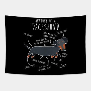 Black and Tan Dachshund Dog Anatomy Tapestry