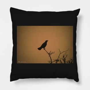 The Crow Pillow